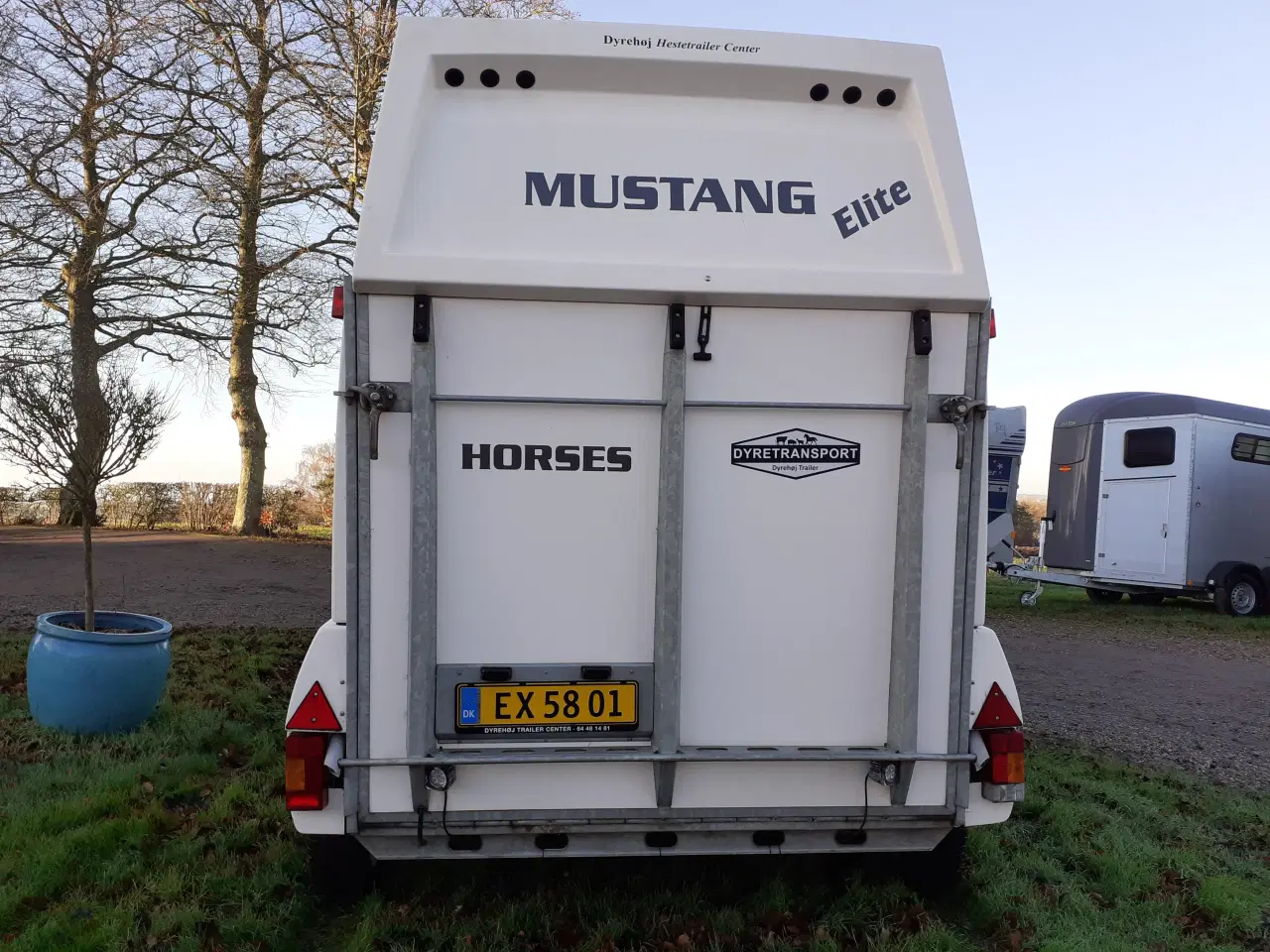 Billede 4 - Mustang Hestetrailer Elite Hvid 2018