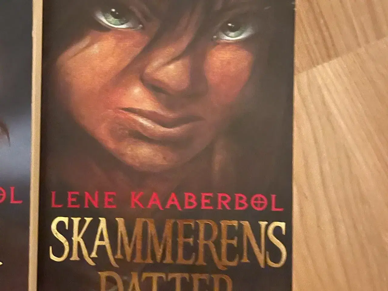 Billede 3 - Bogserie, Skammerens Datter, v/Lene Kaaberbøl