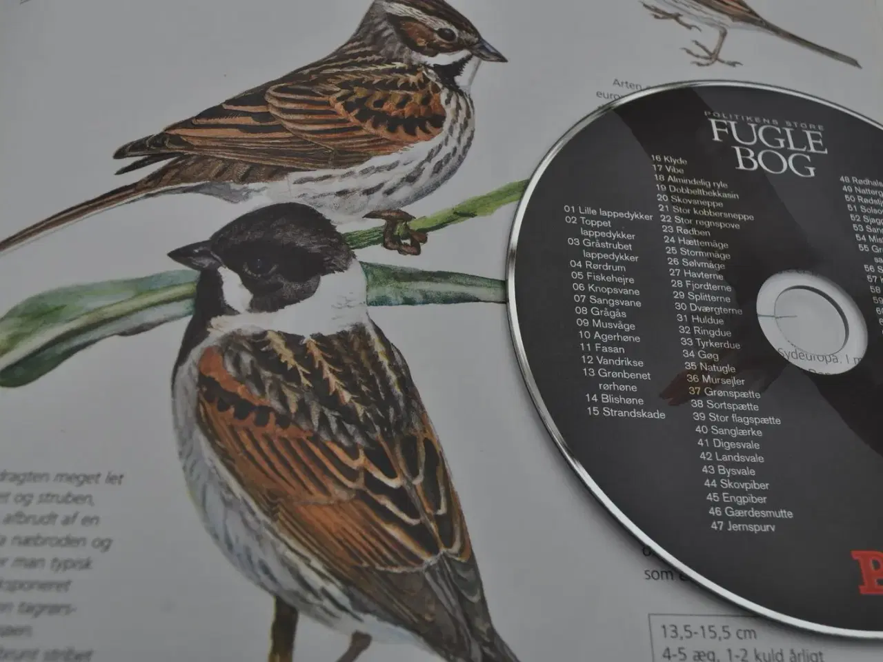 Billede 8 - Fugle og deres lyde på CD. Fantastisk!