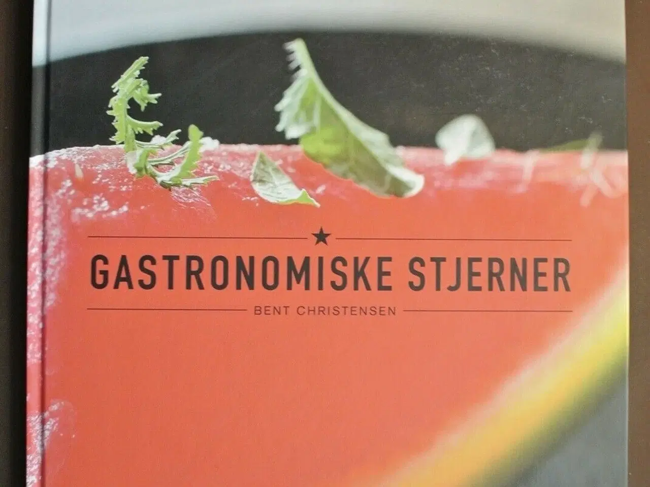 Billede 1 - gastronomiske stjerner. dedikation af patrick lief