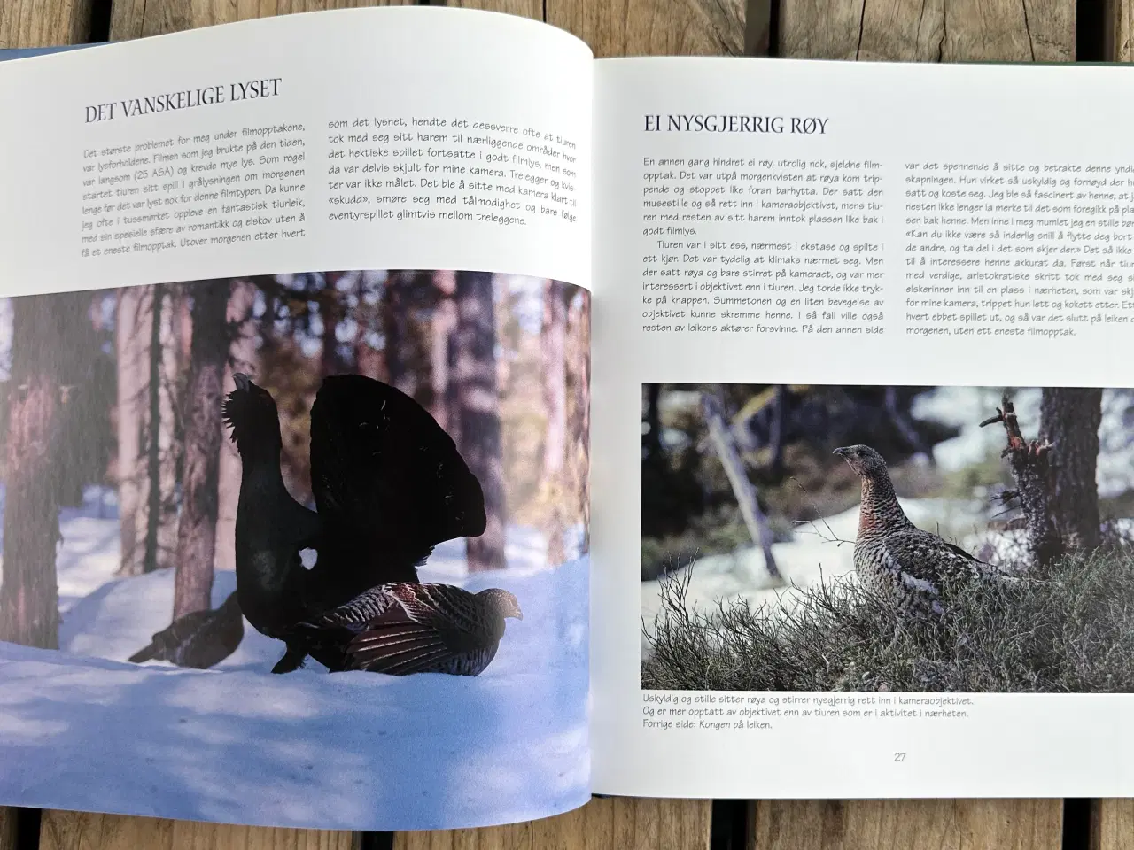 Billede 3 - Med Kamera i Norsk Natur – Nils Viker – Norsk