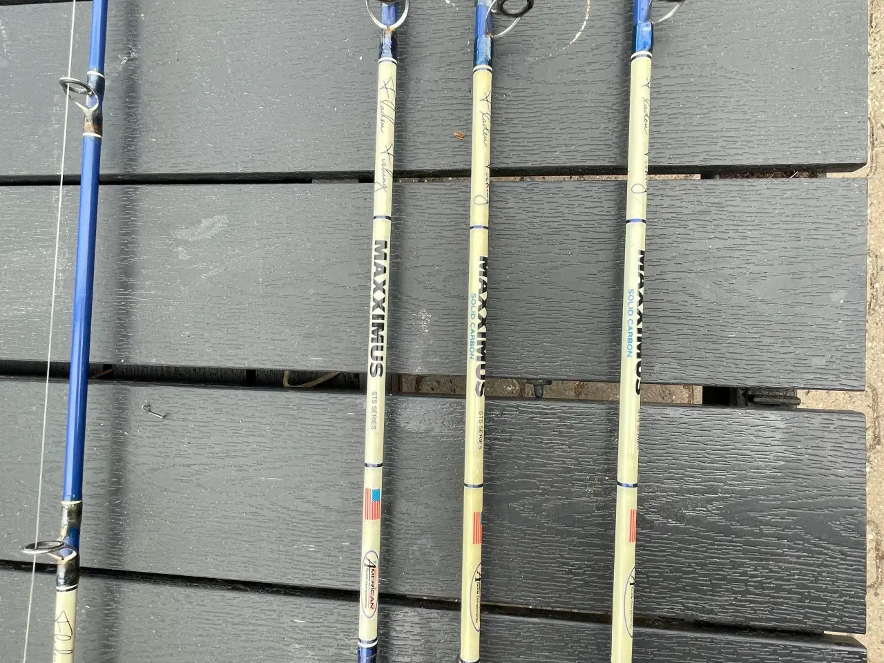 Billede 2 - Maxximus STS SERIES. Lot 14