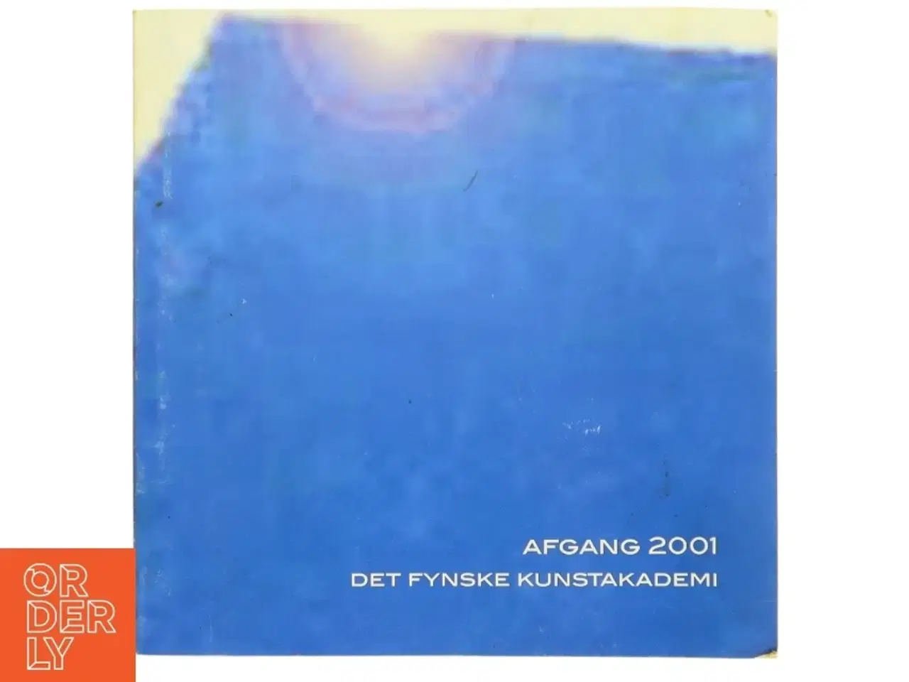 Billede 1 - Afgang 2001, det fynske kunstakademi