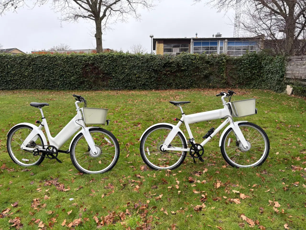 Billede 5 - Biomega herre elcykel