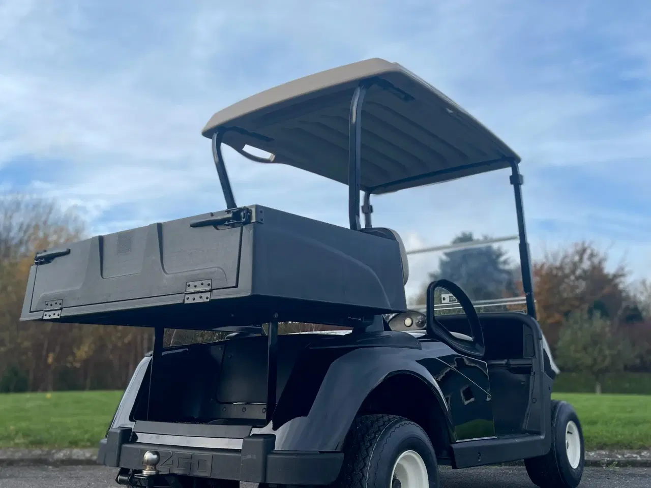 Billede 2 - Elektrisk golfbil (2018)