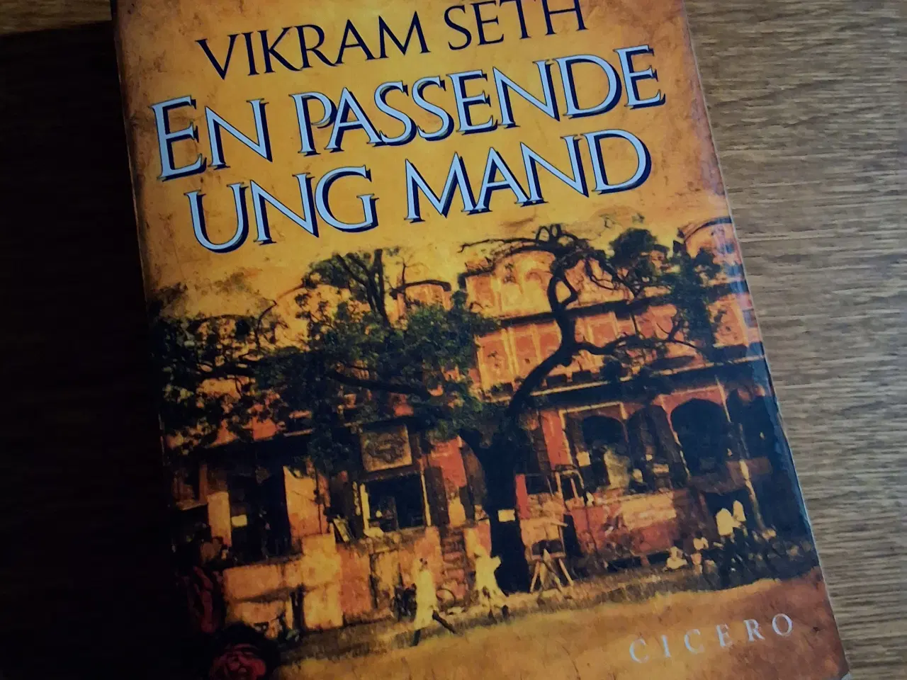 Billede 1 - EN PASSENDE UNG MAND, VIKRAM SETH