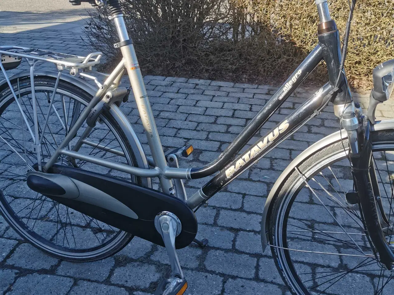 Billede 1 - Batavus allegro