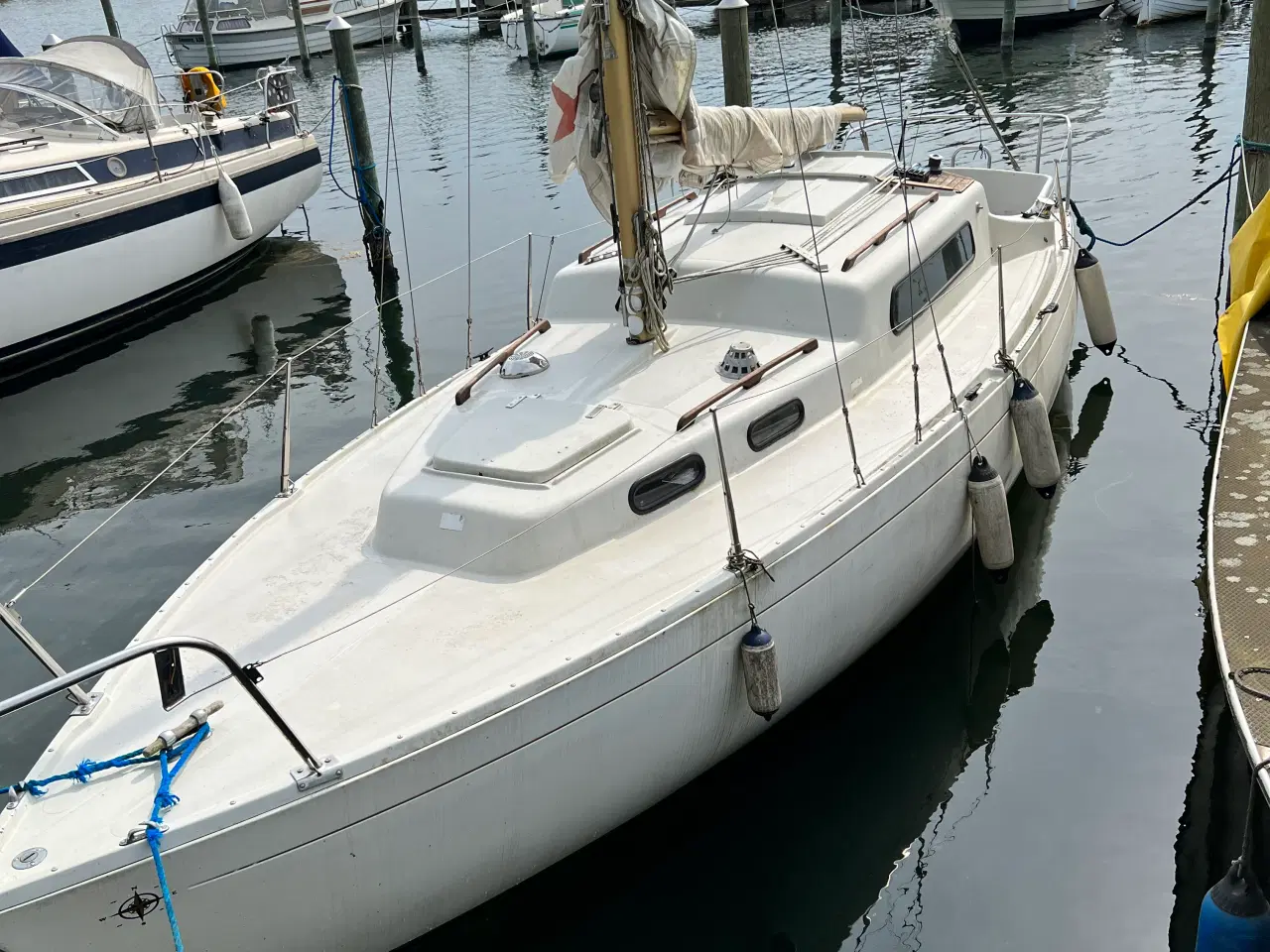 Billede 1 - Albin Vega, mulighed for køb af bådplads
