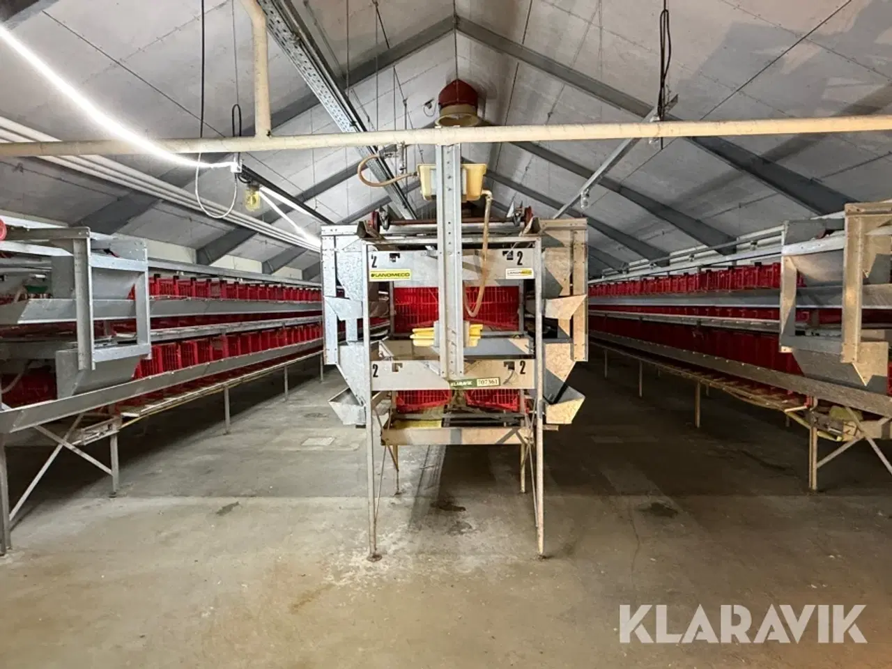 Billede 9 - Produktionslinje Landmeco æglægger system