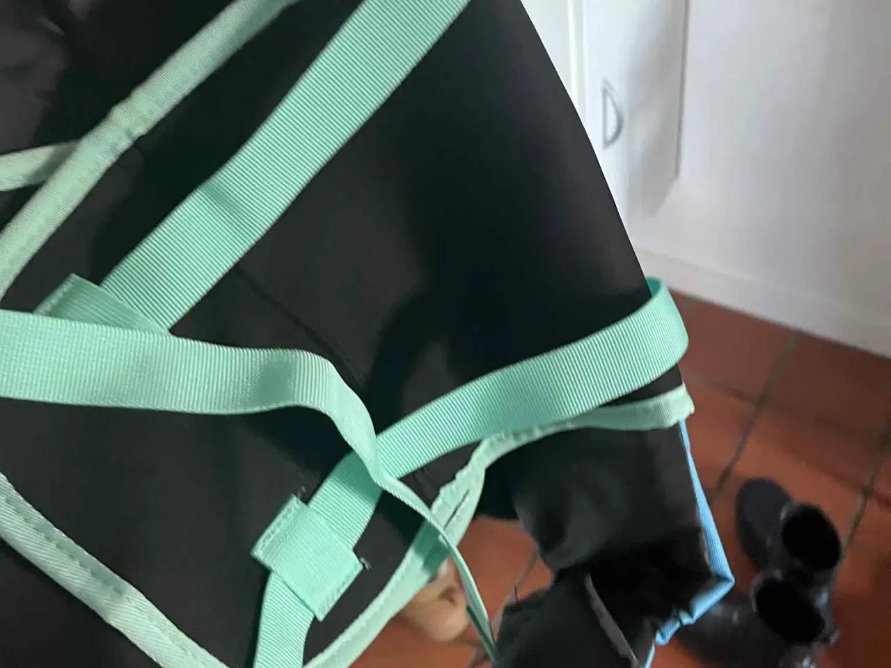 Billede 37 - Hundeting til salg 