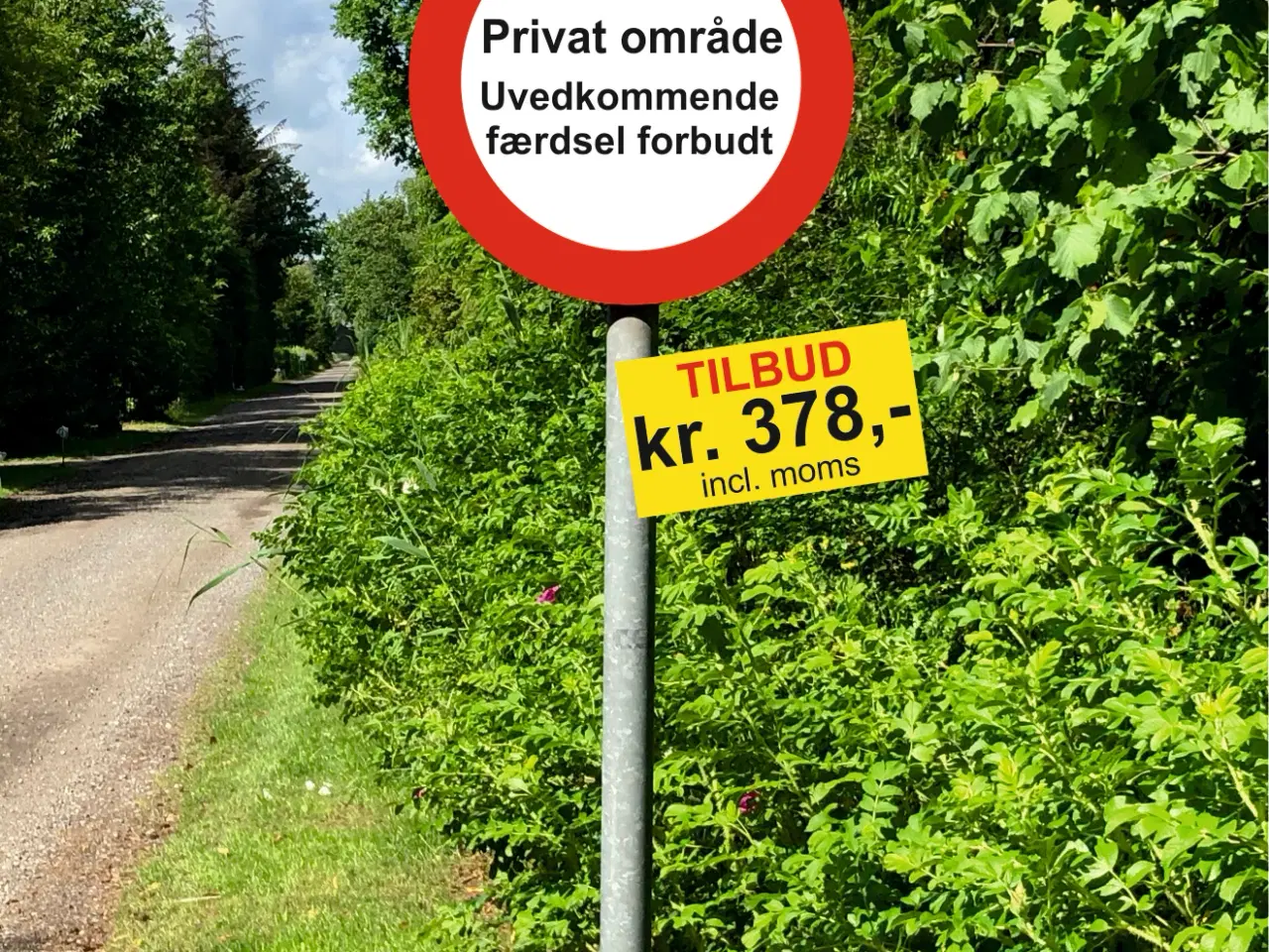 Billede 4 - Skilte: Privat vej-Al uvedkommende færdsel forbudt