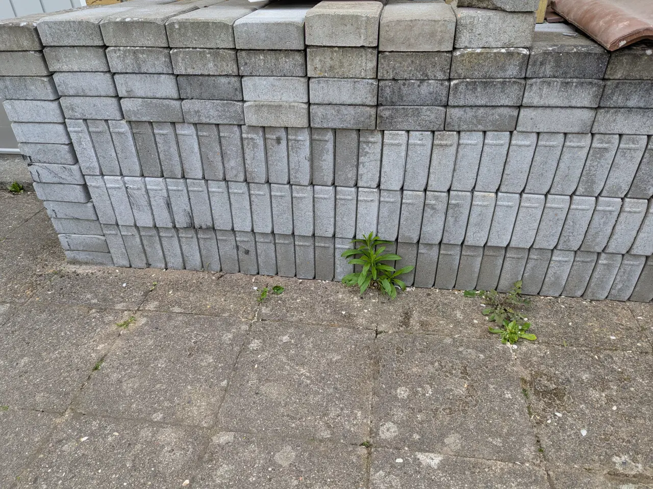 Billede 2 - 9 m.2 belægningssten sælges