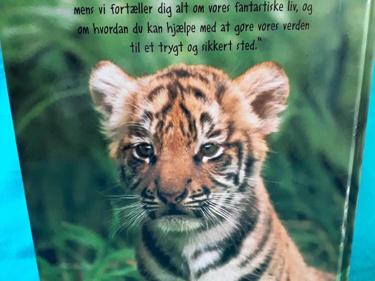 Billede 3 - Dyr som os - Bog