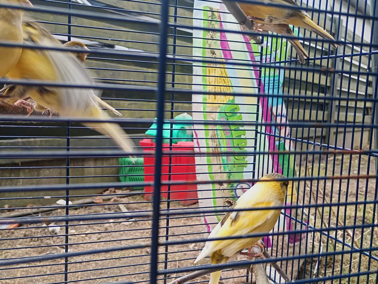 Billede 8 - Blandet farver/kobber