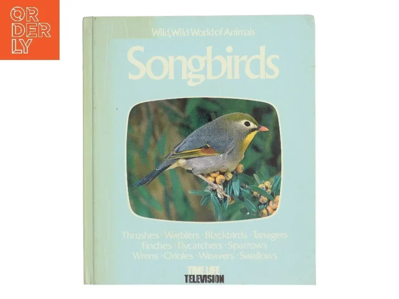 Billede 1 - Songbirds (Bog)