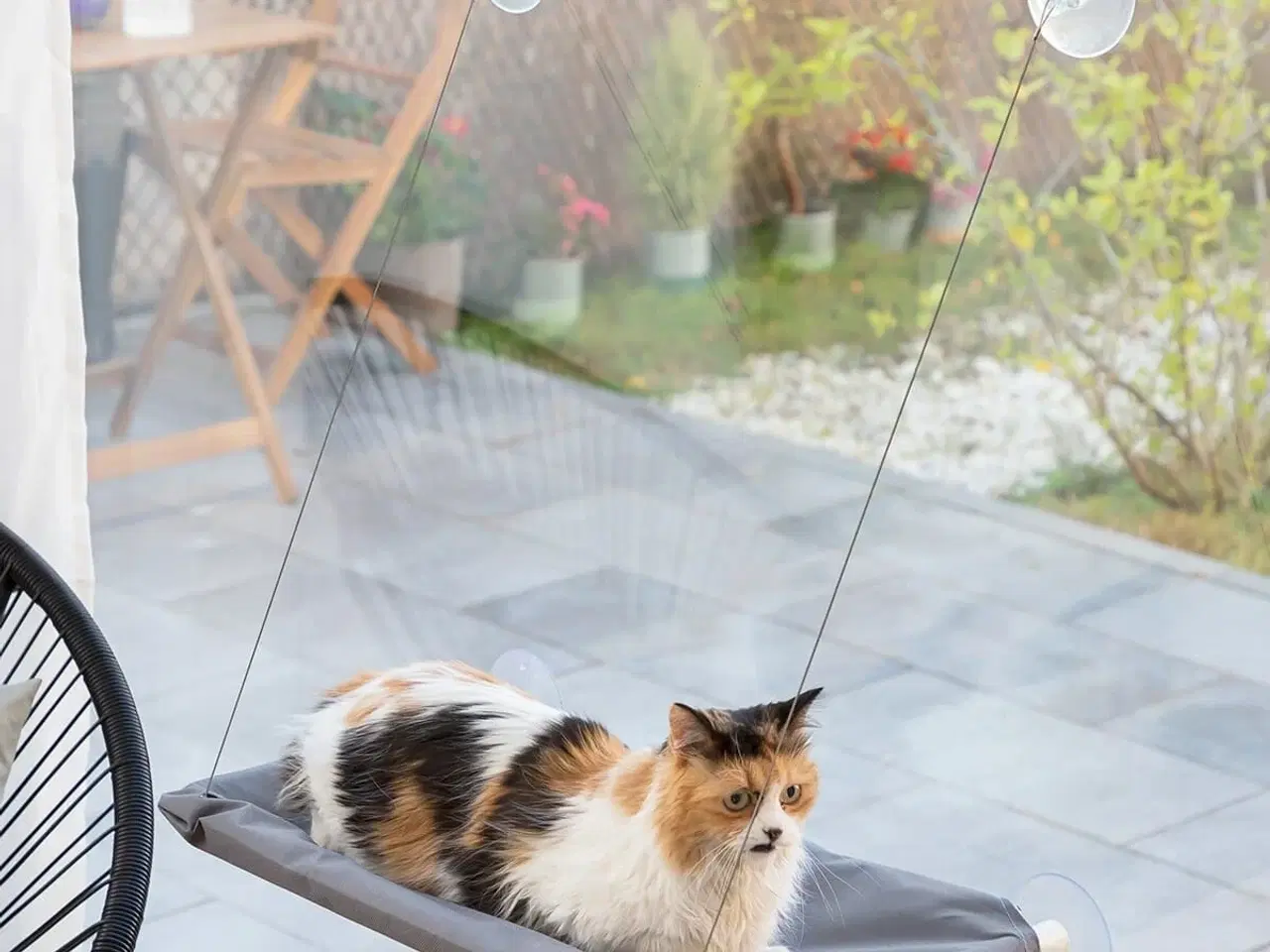 Billede 1 - Hængende kat hængekøje Catlax InnovaGoods