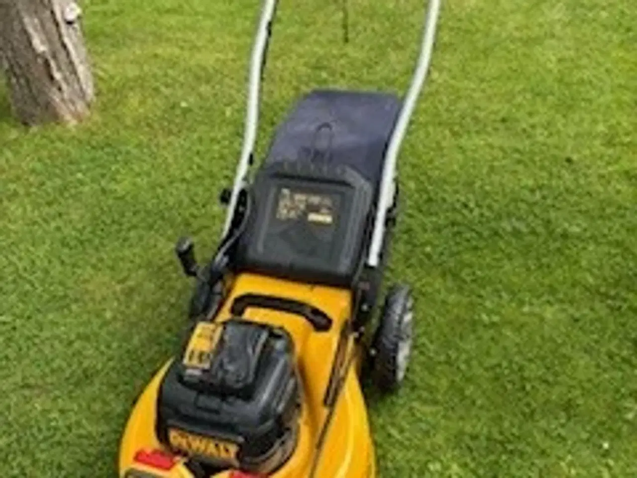 Billede 2 - Dewalt batteri plæneklipper