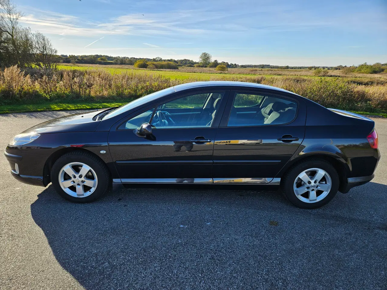 Billede 6 - Peugeot 407 1,8 16v 
