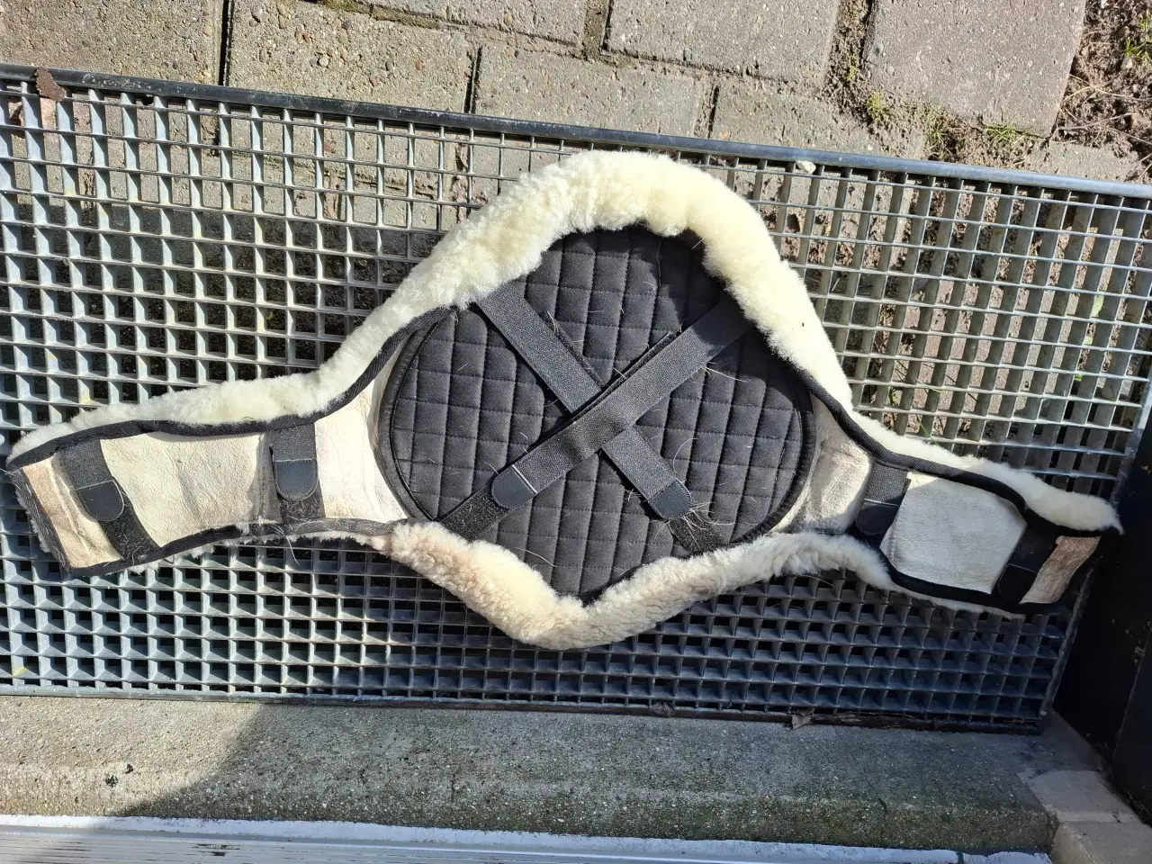 Billede 2 - Lammeskind 