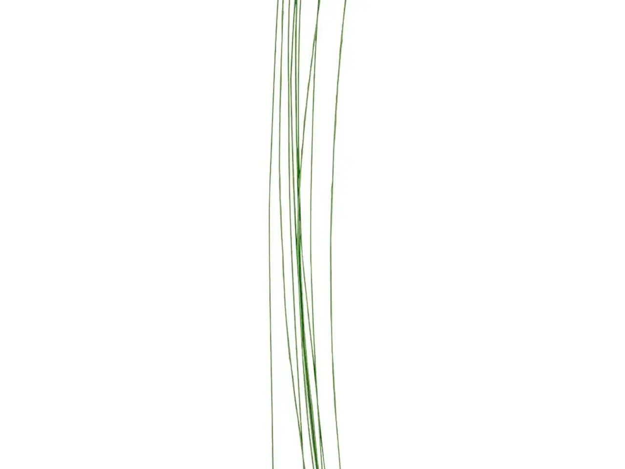 Billede 1 - Blomsterstængel, L: 30 cm, diam. 0,6 mm, grøn, 20stk./ 1 pk.