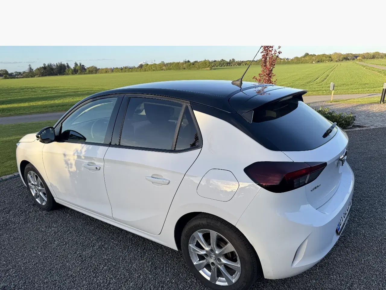 Billede 3 - Corsa 1,2 5 dørs 