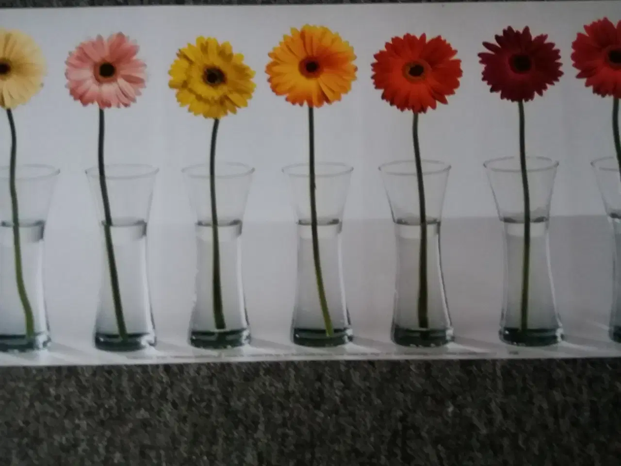 Billede 2 - Plakat med blomster