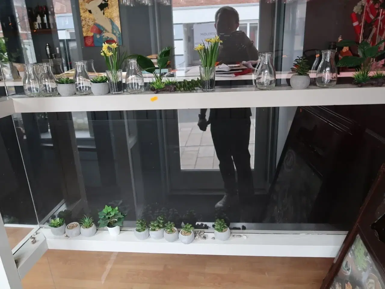 Billede 5 - Div. Planter og vaser