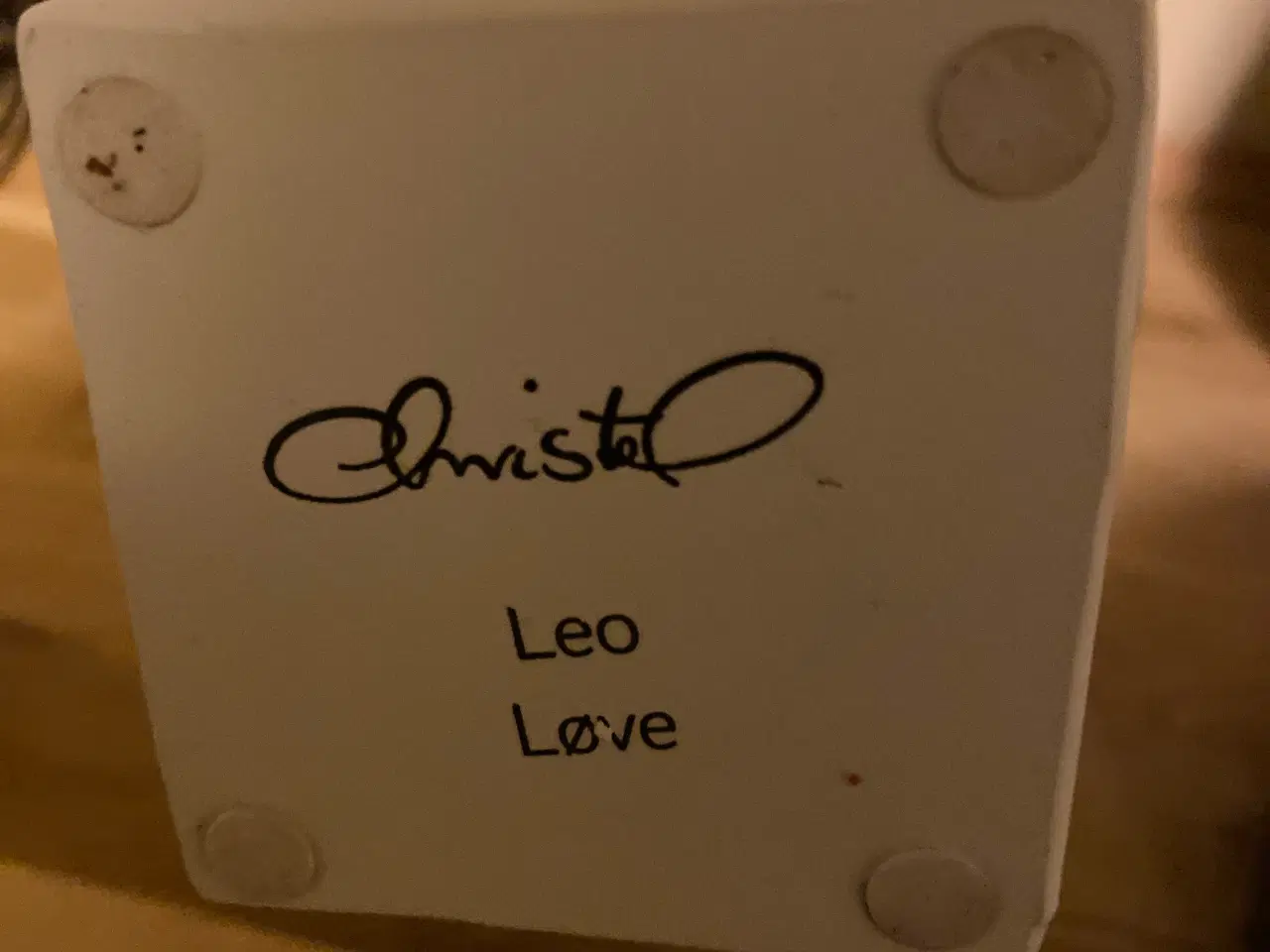 Billede 2 - Christel Marrone, stjernetegn Løve
