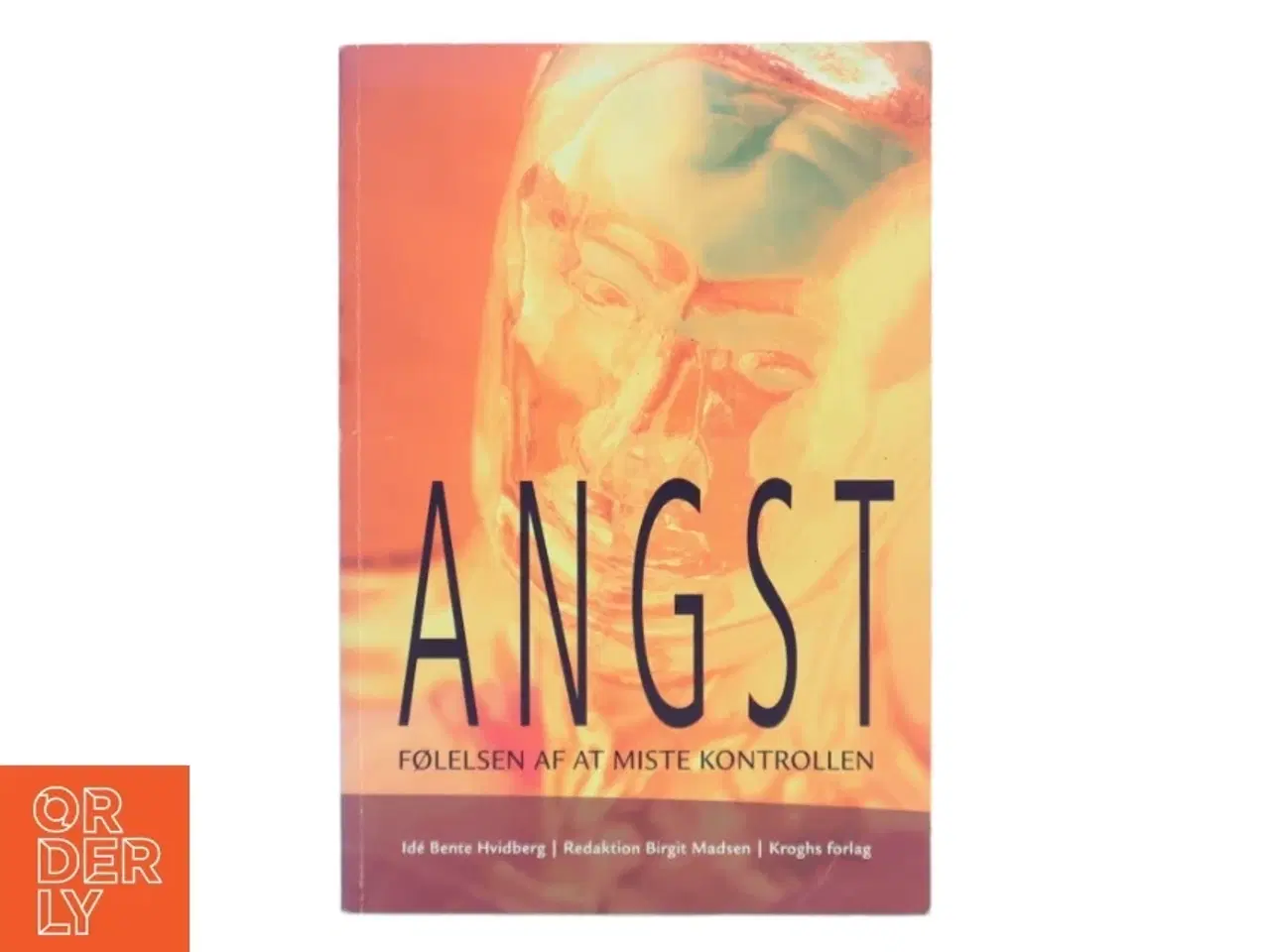 Billede 1 - Angst - følelsen af at miste kontrollen : 15 angstramte skriver deres historie og psykolog Michelle Ulrichsen beskriver de forskellige angstforme