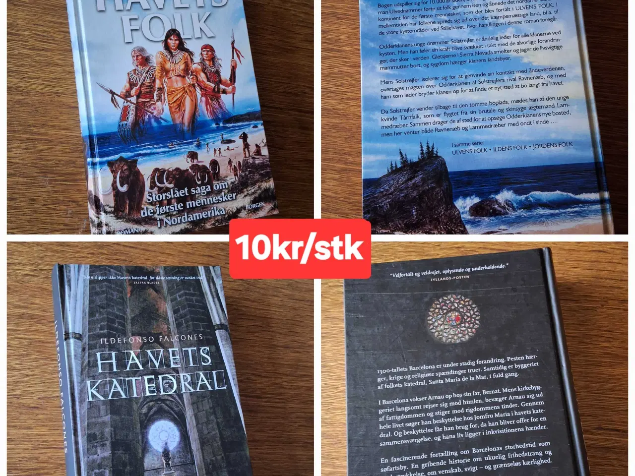 Billede 8 - BOG-UDSALG - 10kr/stk. 