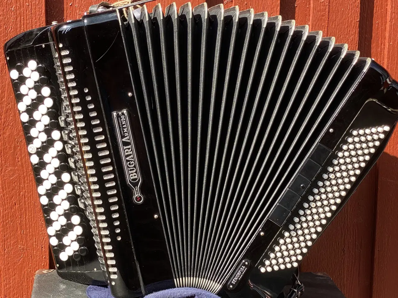 Billede 13 - Bugari Armando Seniorfisa Special – Topklasse knap