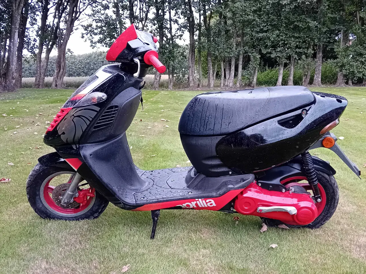 Billede 6 - Aprilia sonic
