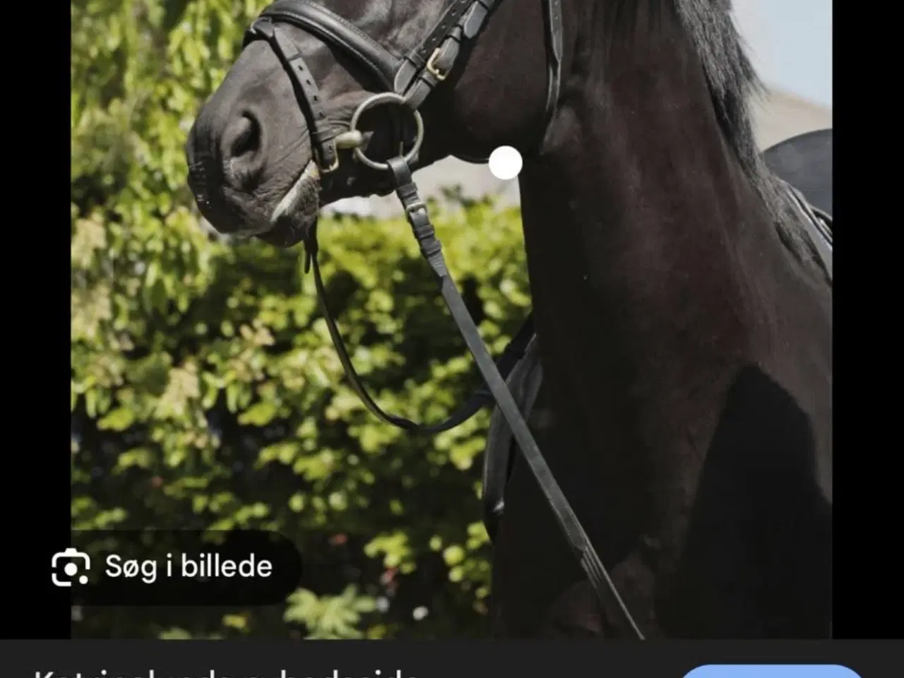 Billede 5 - Skøn 2’er pony søger nyt hjem 