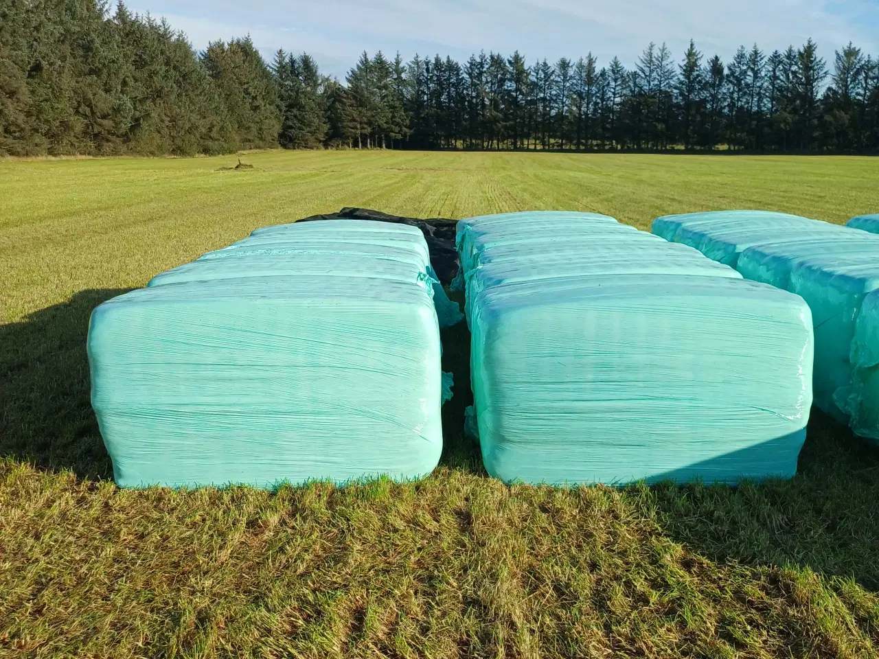 Billede 1 - Wrapballer minibig af hestegræsblanding