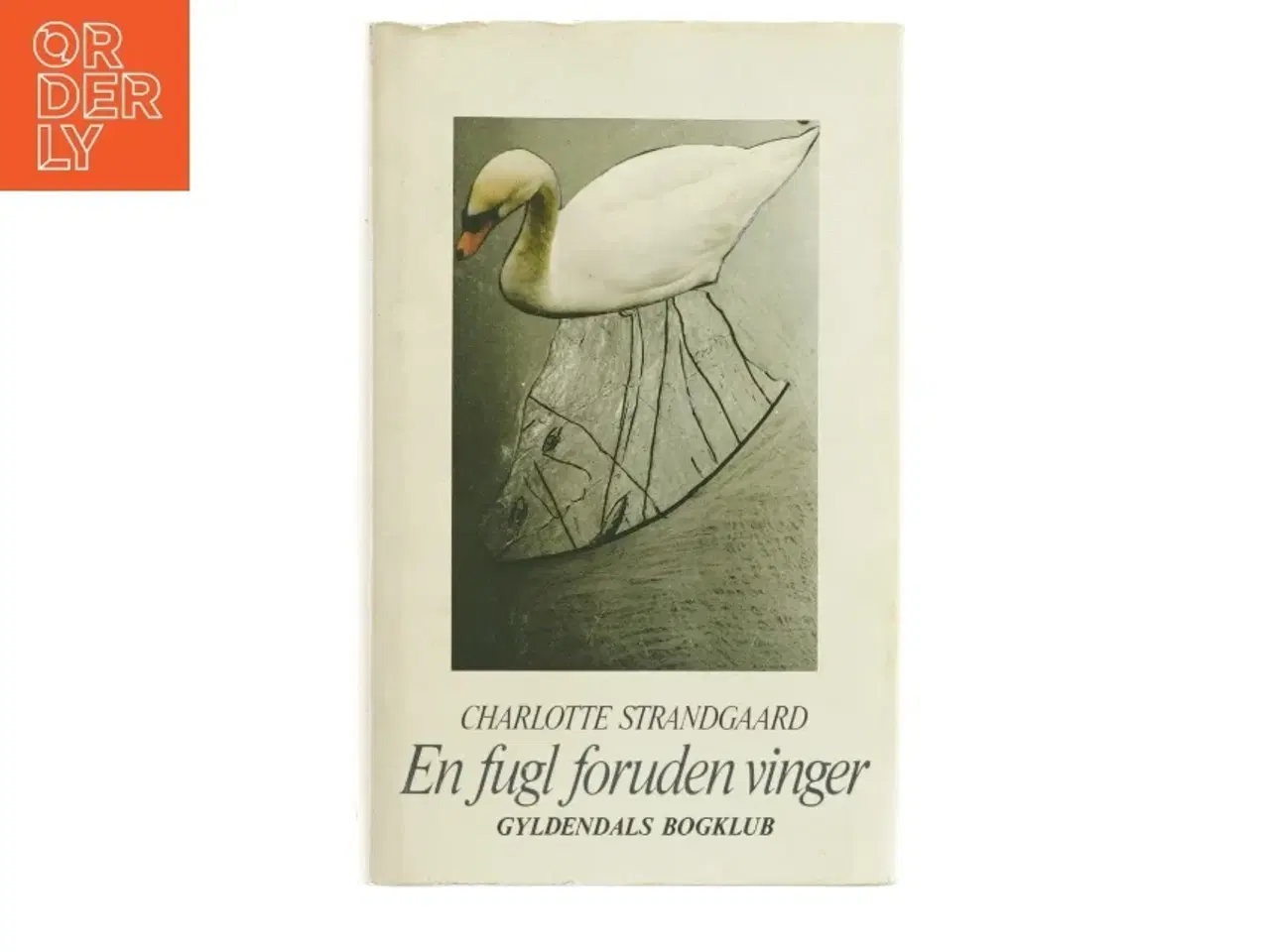 Billede 1 - En fugl foruden vinger af Charlotte Strandgaard (bog)