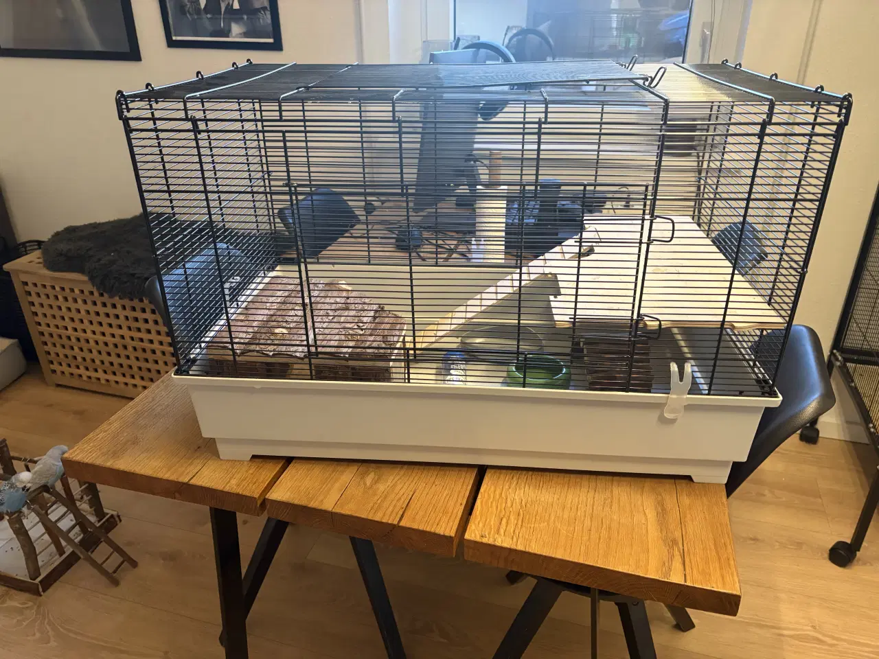 Billede 3 - Hamsterbur + tilbehør