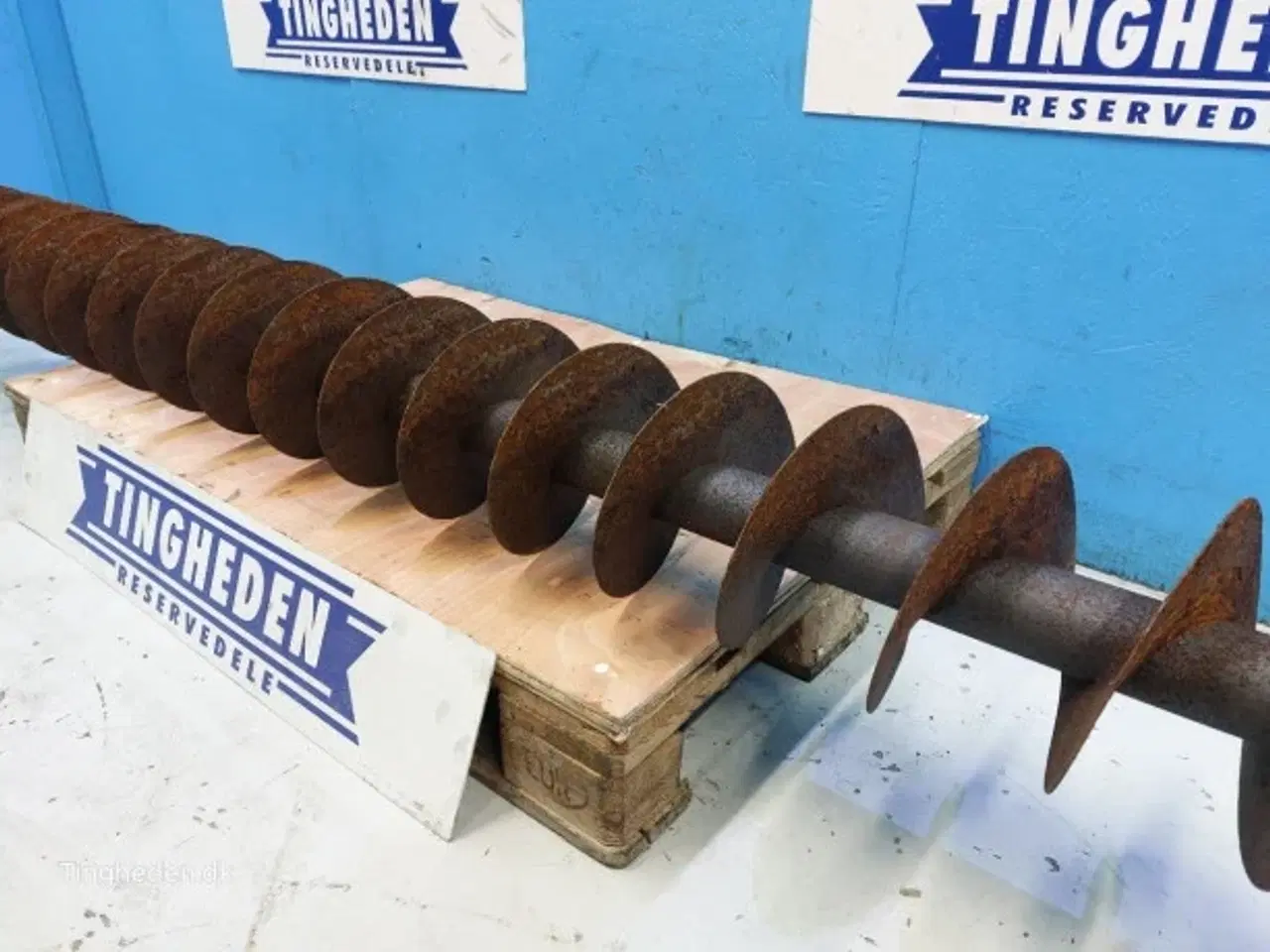 Billede 7 - Massey Ferguson 7278 Frøsnegl 28885556