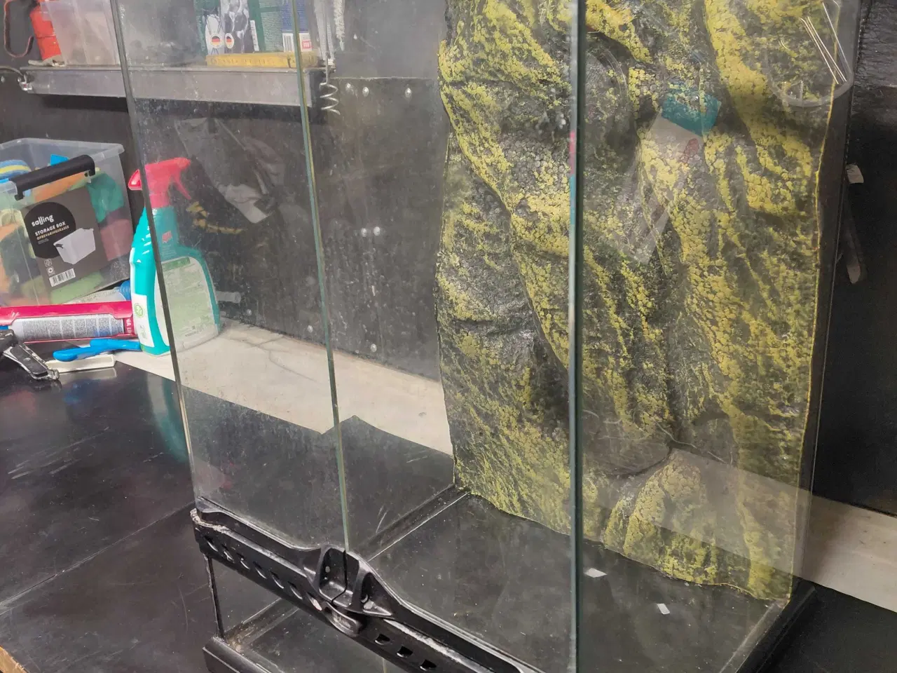 Billede 3 - Exo Terra Glass Terrarium