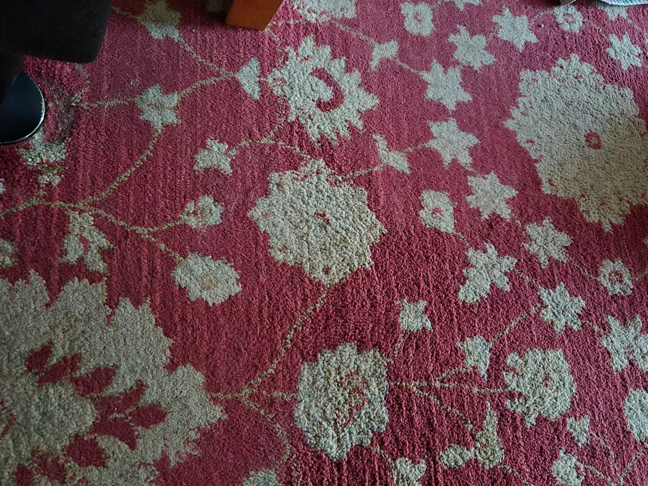 Billede 1 - Gulvtæppe 300×230 cm i persisk mønster