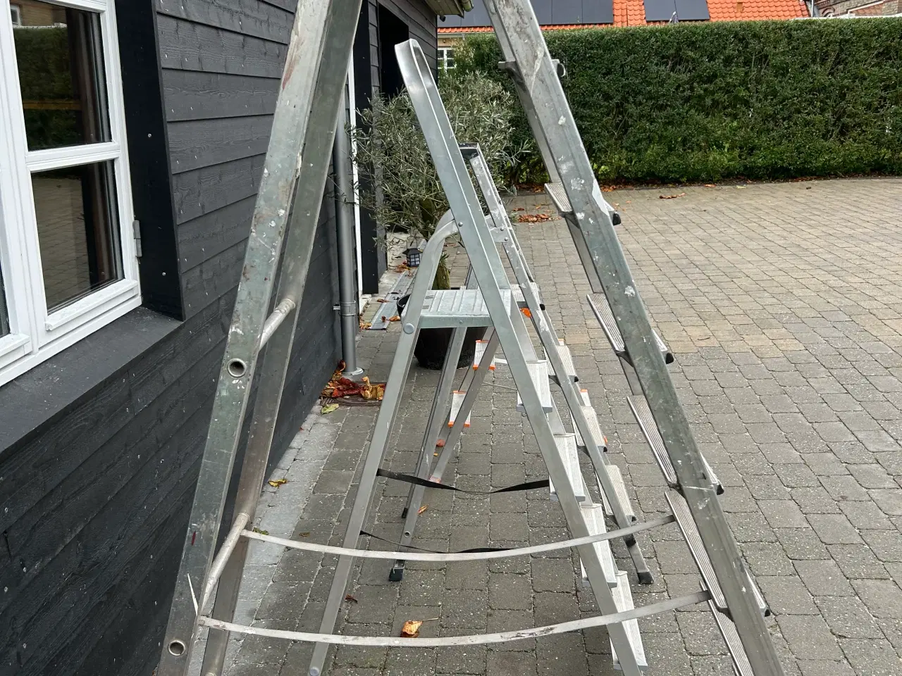 Billede 3 - Wienerstige