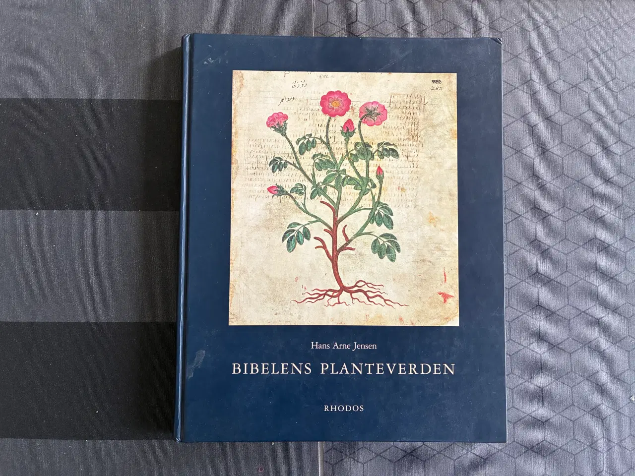 Billede 1 - BIBELENS PLANTEVERDEN  af Hans Arne Jensen