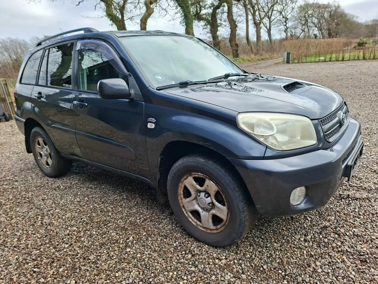 Billede 3 - Toyota RAV4 2,0 D-4D Sun 4x4 Van