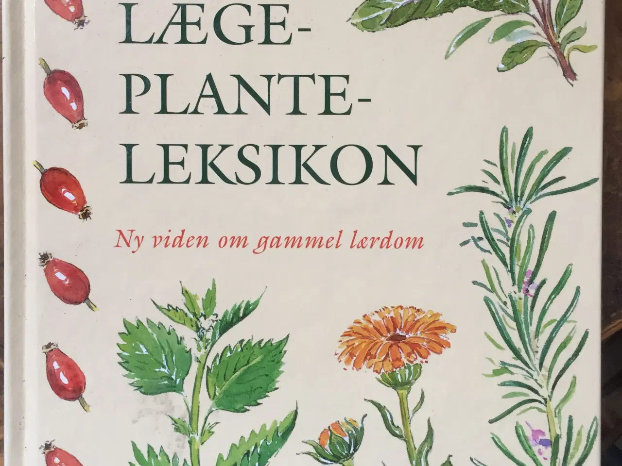 Billede 1 - Hestens Lægeplanteleksikon - Hilary Page Self