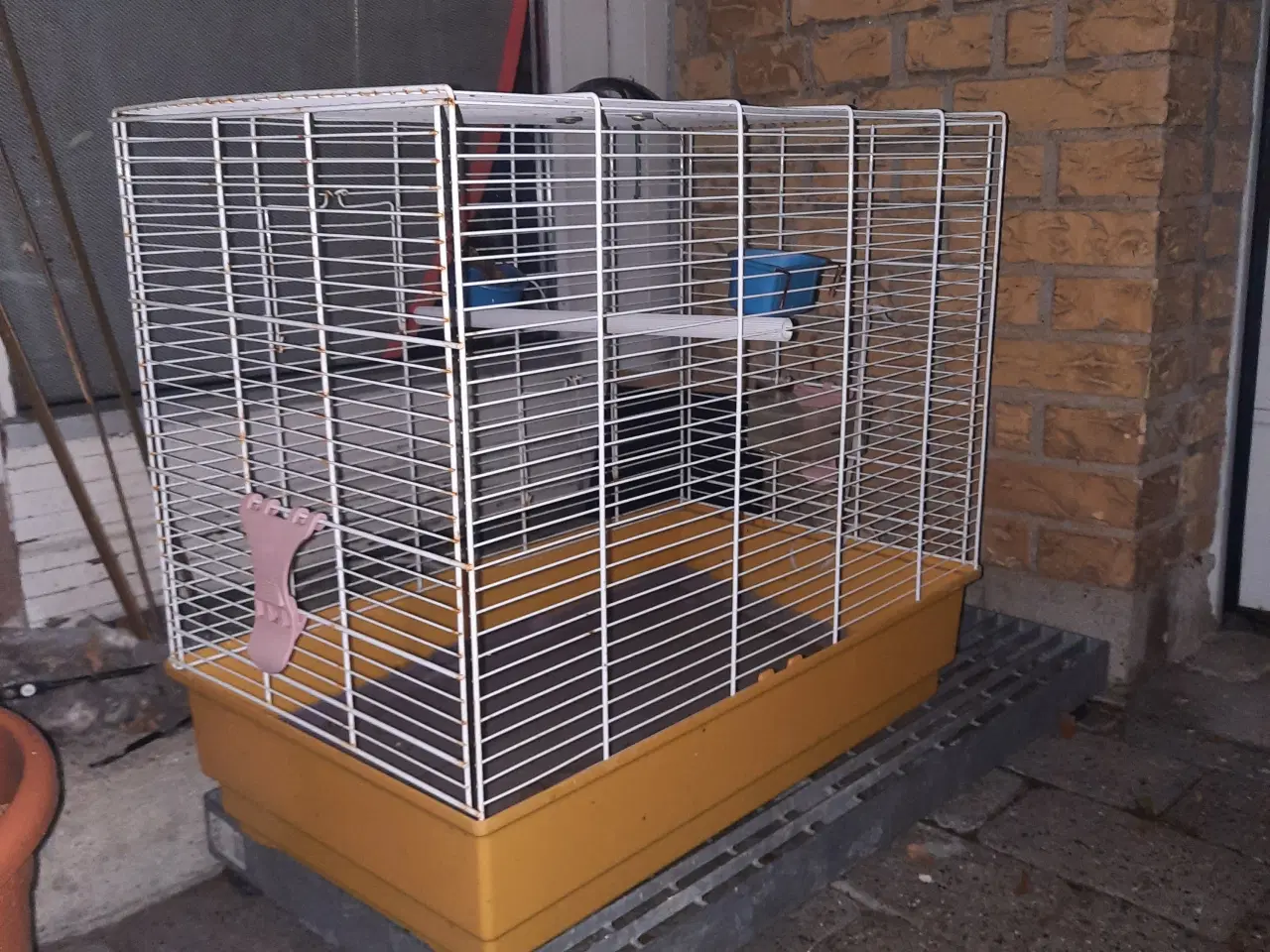 Billede 4 - To han-undulater sælges eller byttes med en hun-u