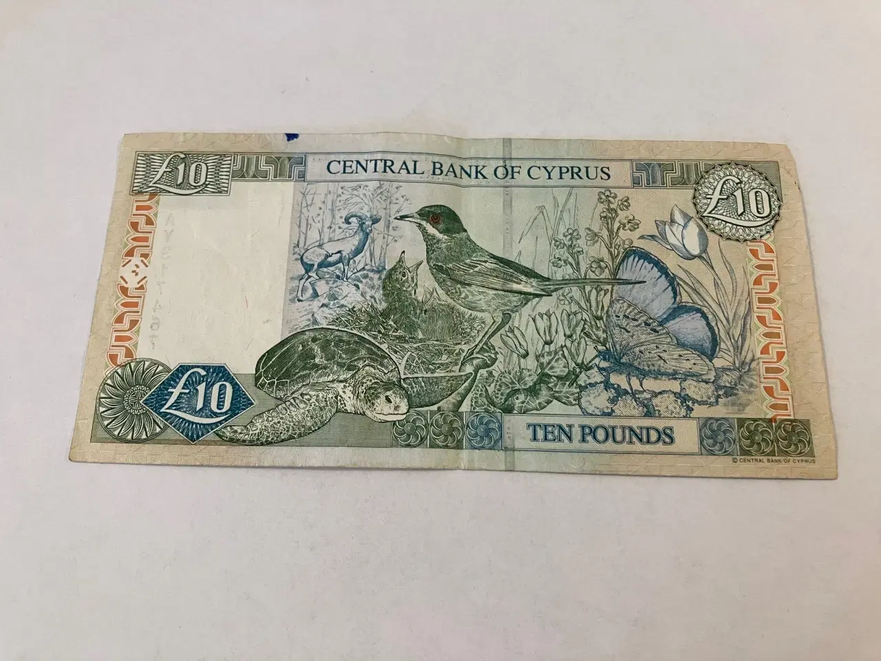 Billede 2 - 10 Pounds Cyprus 2003