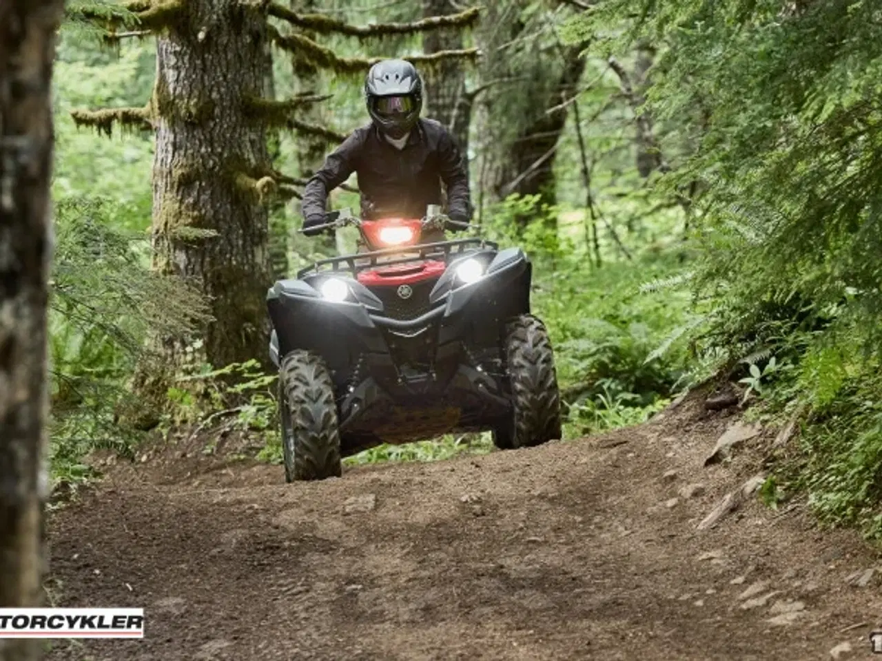 Billede 6 - Yamaha Grizzly 700 EPS Traktor