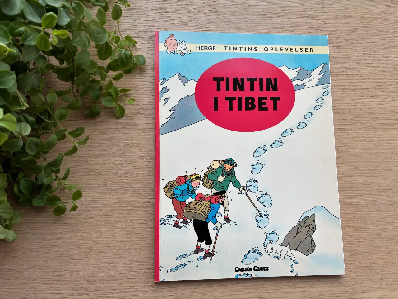 Billede 1 - TINTIN I TIBET  -  Tintins Oplevelser