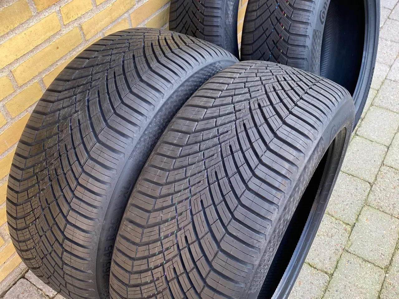 Billede 2 - 20” ID Buzz Helårs Continental 