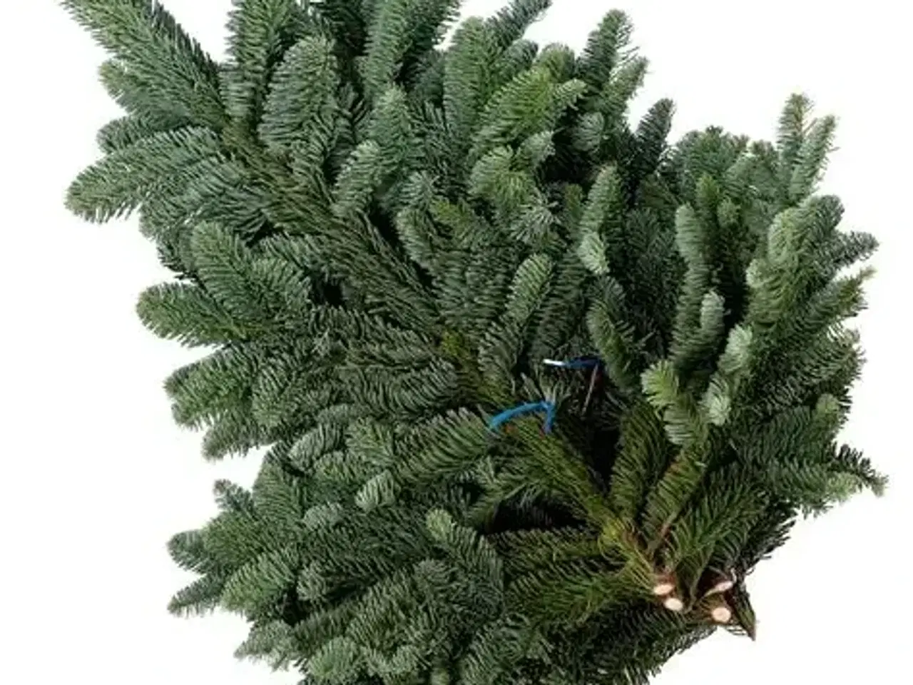 Billede 1 - Granbundt ca 2 kg 15 kr. ( eller til æresport)