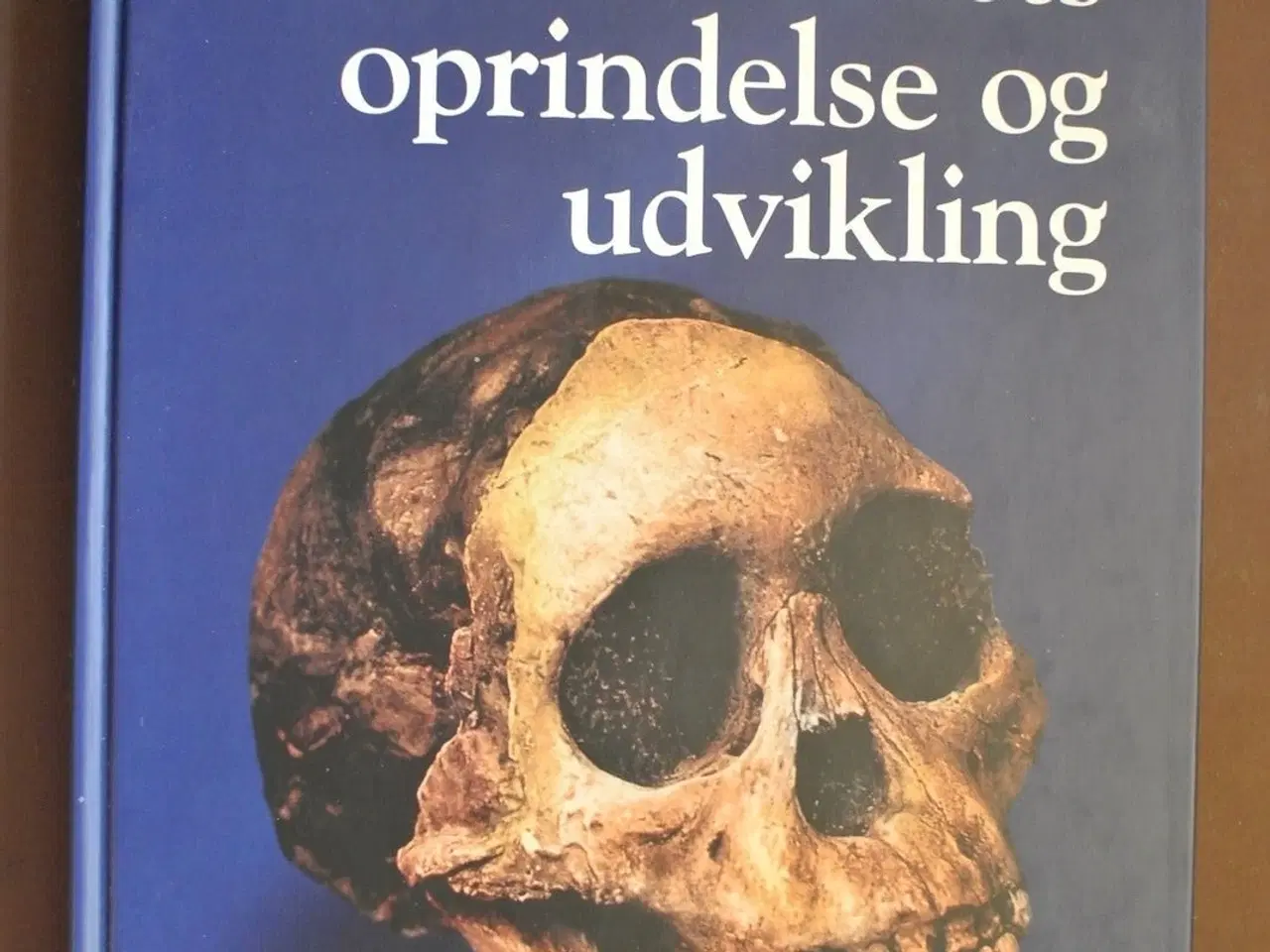 Billede 1 - menneskets oprindelse og udvikling, af peter k. a.